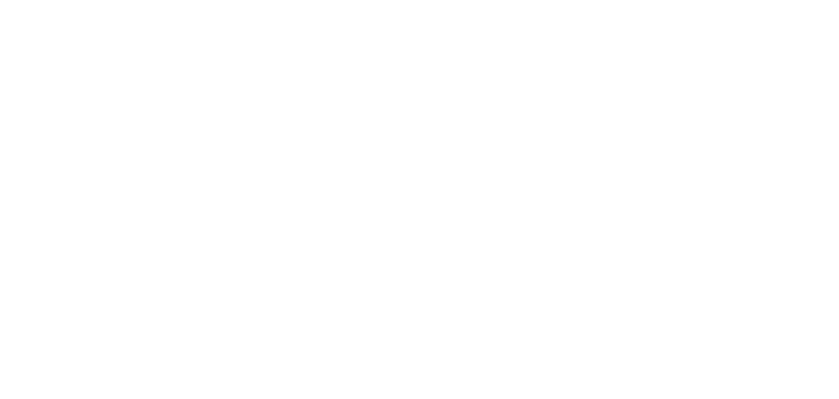 The Cleaning Lady